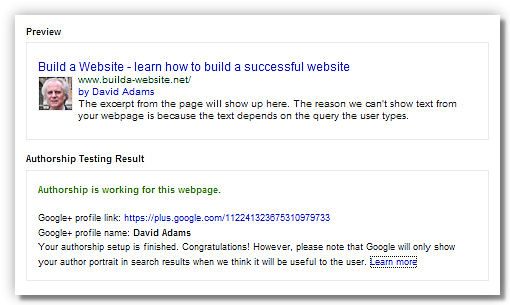 Rich Snippets Testing Tool results