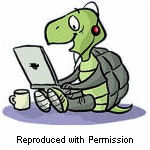 Shelly, the SiteSell tortoise